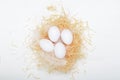 Eggs in a nest of hay on a white background. Concept easter composition, spring holiday, healthy food. Top view, flat