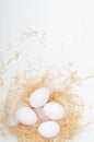 Eggs in a nest of hay on a white background. Background for instagram stories. Concept Easter composition, spring holiday, healthy