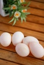 Eggs in nest on the nature, Fresh eggs for cooking or raw material, fresh eggs background. Royalty Free Stock Photo