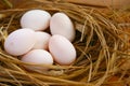 Eggs in nest on the nature, Fresh eggs for cooking or raw material, fresh eggs background Royalty Free Stock Photo