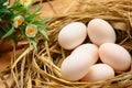 Eggs in nest on the nature, Fresh eggs for cooking or raw material, fresh eggs background Royalty Free Stock Photo