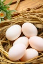 Eggs in nest on the nature, Fresh eggs for cooking or raw material, fresh eggs background Royalty Free Stock Photo