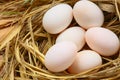 Eggs in nest on the nature, Fresh eggs for cooking or raw material, fresh eggs background Royalty Free Stock Photo