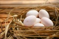 Eggs in nest on the nature, Fresh eggs for cooking or raw material, fresh eggs background Royalty Free Stock Photo