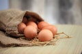 Eggs in nest on the nature, Fresh eggs for cooking or raw material, fresh eggs background. Royalty Free Stock Photo