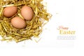 Eggs in a nest of straw, isolated on white background, sample t Royalty Free Stock Photo