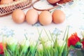 Eggs old vintage style Royalty Free Stock Photo