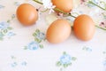 Eggs old vintage style Royalty Free Stock Photo