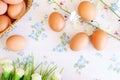 Eggs old vintage style Royalty Free Stock Photo