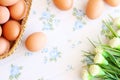 Eggs old vintage style Royalty Free Stock Photo