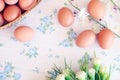 Eggs old vintage style Royalty Free Stock Photo