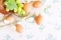 Eggs old vintage style Royalty Free Stock Photo