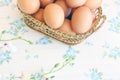Eggs old vintage style Royalty Free Stock Photo