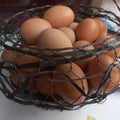 Eggs are one source of animal protein that has a delicious taste easy to digest and highly nutritious