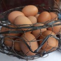 Eggs are one source of animal protein that has a delicious taste easy to digest and highly nutritious