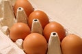 Eggs - Ovum - Egg price change