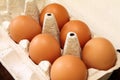 Eggs - Ovum - Egg price change