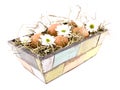 Eggs and oxeye daisy flower in flowerpot