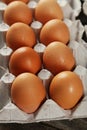Eggs Royalty Free Stock Photo