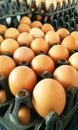 Eggs in the package at the market Royalty Free Stock Photo