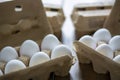 Eggs in packaging. A lot of white chicken eggs marked with a tracking code in cartons