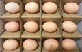 Eggs packing box of brown close up view.Eggs.Eggs box.Row of eggs