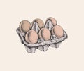 Eggs Packing Color Hand Drawn Illustration Isolated. Ink Drawing. Farm. Poultry farming