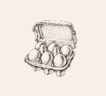 Eggs Packing Hand Drawn Illustration Isolated. Ink Drawing. Farm. Poultry farming