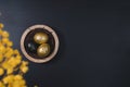 Eggs painted gold and black. Top view of nest containing three egg. Minimal Easter concept with copy space for text. Royalty Free Stock Photo