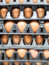 Eggs in the panel package Royalty Free Stock Photo
