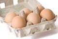 Eggs in paper egg carton Royalty Free Stock Photo