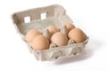 Eggs in paper egg carton Royalty Free Stock Photo