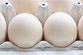 Eggs in paper egg carton Royalty Free Stock Photo