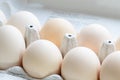 Eggs in paper egg carton Royalty Free Stock Photo