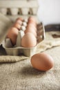 Eggs in paper pack on sack cloth Royalty Free Stock Photo