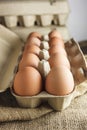 Eggs in paper pack on sack cloth Royalty Free Stock Photo