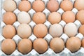 Eggs in paper tray ,Brown eggs in an egg carton