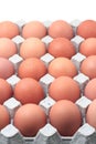 Eggs in paper tray Royalty Free Stock Photo