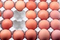 Eggs in paper tray Royalty Free Stock Photo