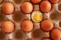 Eggs in paper tray. one soft-boiled. view from top. Boiled halve Royalty Free Stock Photo