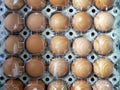 Eggs on paper tray with transparent plastic covered Royalty Free Stock Photo