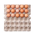 Eggs in paper tray Royalty Free Stock Photo