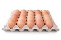 Eggs in paper tray