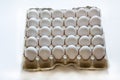 Eggs in paper tray Royalty Free Stock Photo