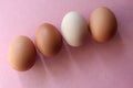 Eggs pink background pastel