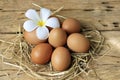 Eggs are placed on old wooden floor