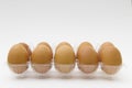 Eggs in a clear plastic tray Royalty Free Stock Photo