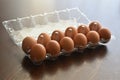 Eggs in plastic box container or cartons pack. Royalty Free Stock Photo