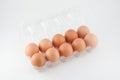 Eggs in plastic box on white background. Royalty Free Stock Photo