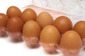 Eggs in a plastic carton box packaging Royalty Free Stock Photo